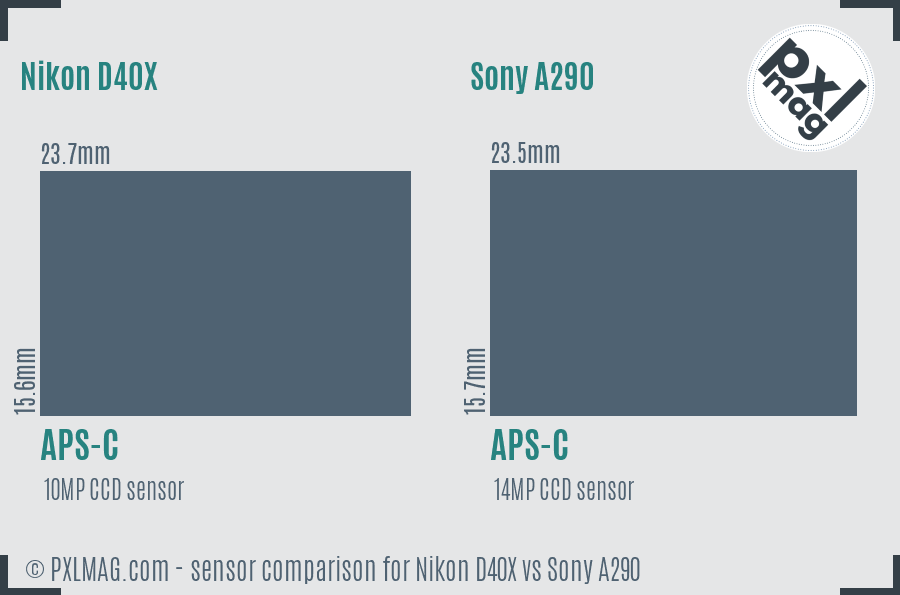 Nikon D40X vs Sony A290 sensor size comparison