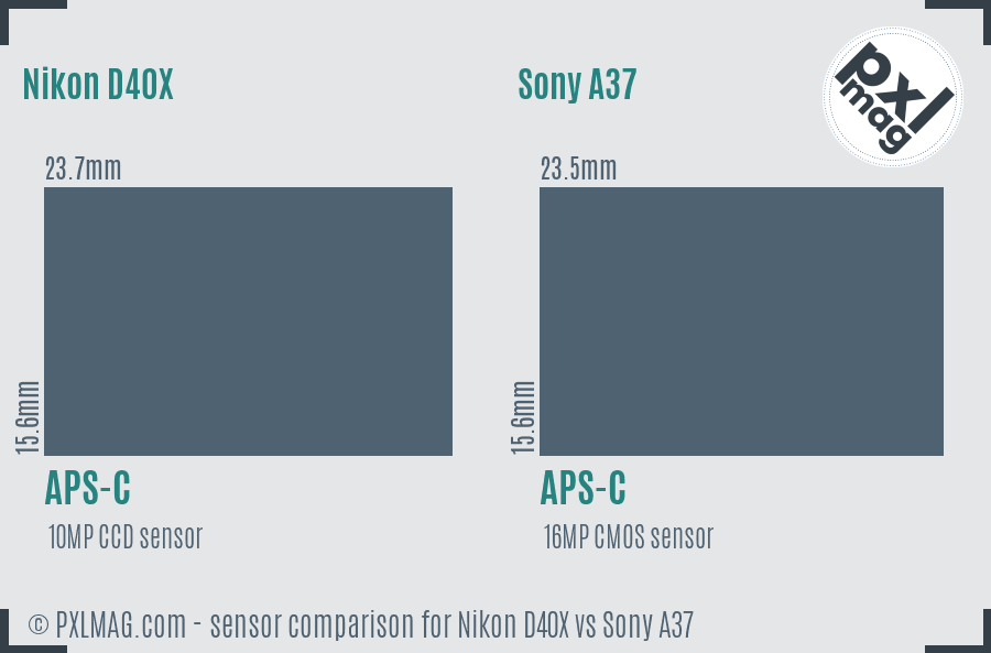 Nikon D40X vs Sony A37 sensor size comparison
