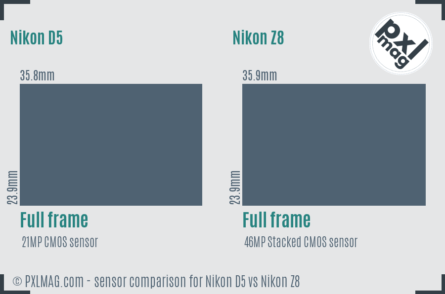 Nikon D5 vs Nikon Z8 sensor size comparison