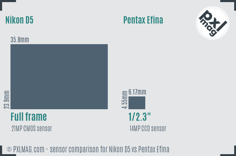 Nikon D5 vs Pentax Efina sensor size comparison