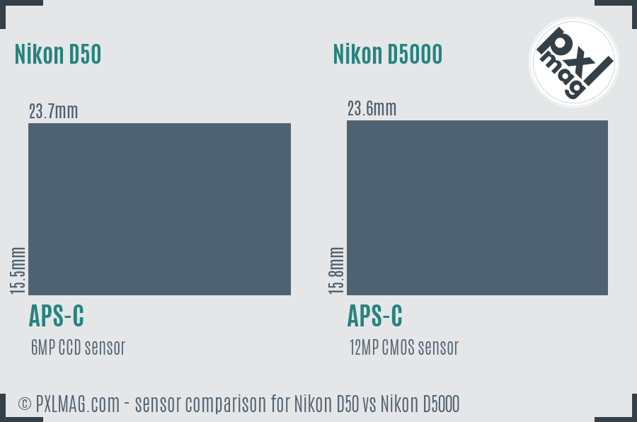 Nikon D50 vs Nikon D5000 sensor size comparison