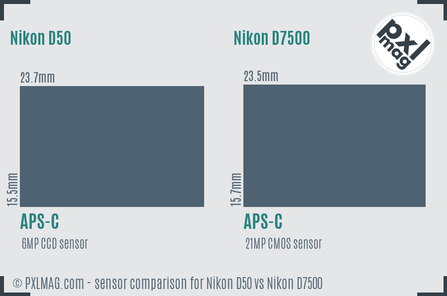 Nikon D50 vs Nikon D7500 sensor size comparison