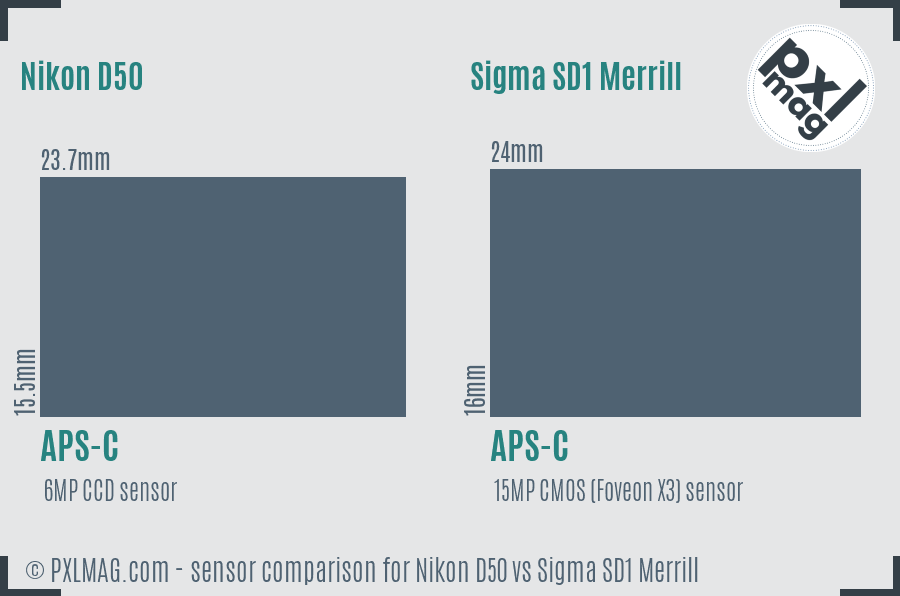 Nikon D50 vs Sigma SD1 Merrill sensor size comparison