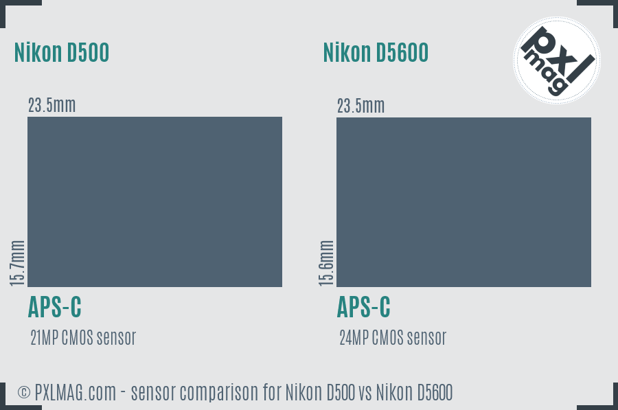 Nikon D500 vs Nikon D5600 sensor size comparison