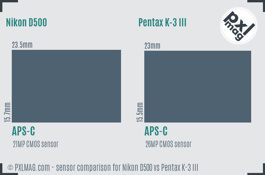 Nikon D500 vs Pentax K-3 III sensor size comparison