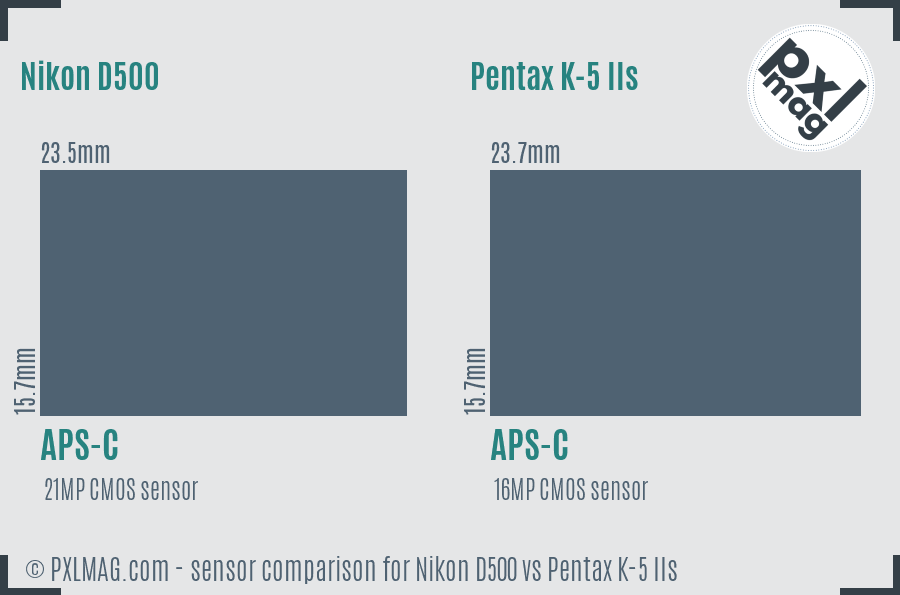 Nikon D500 vs Pentax K-5 IIs sensor size comparison