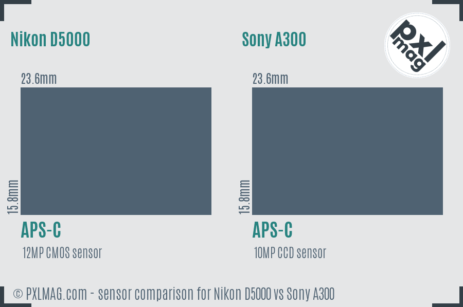 Nikon D5000 vs Sony A300 sensor size comparison