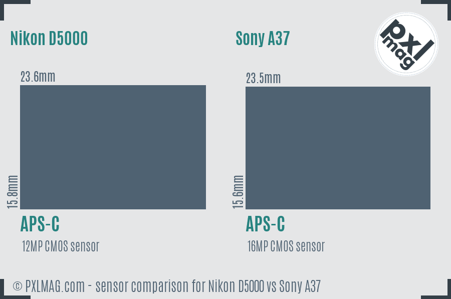 Nikon D5000 vs Sony A37 sensor size comparison