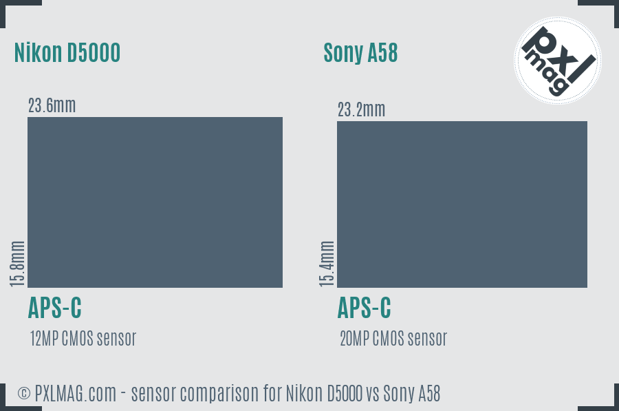 Nikon D5000 vs Sony A58 sensor size comparison