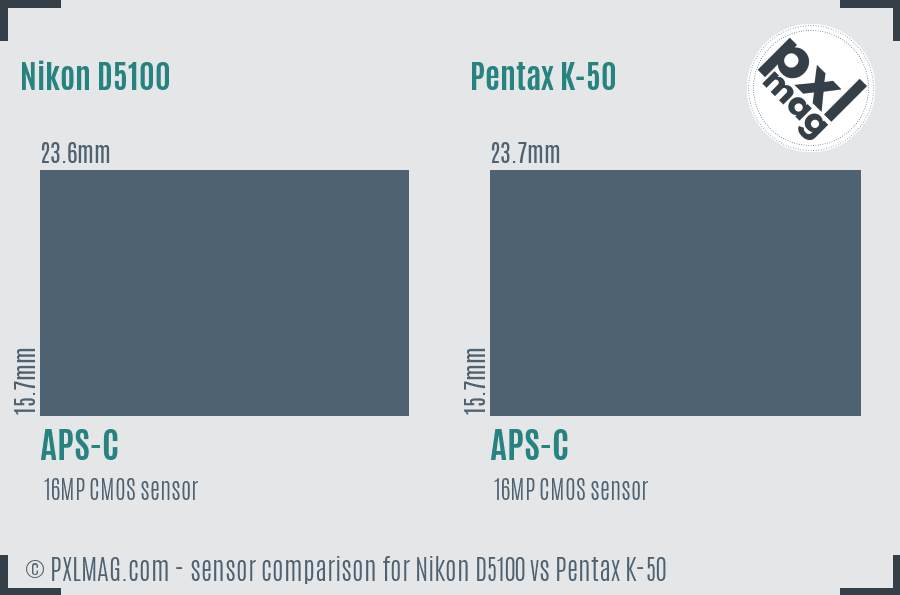 Nikon D5100 vs Pentax K-50 sensor size comparison