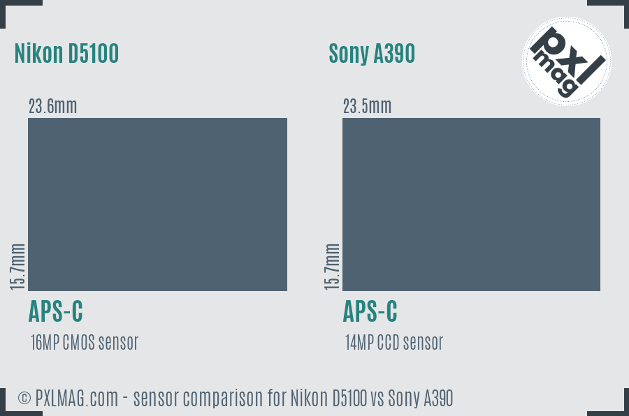 Nikon D5100 vs Sony A390 sensor size comparison