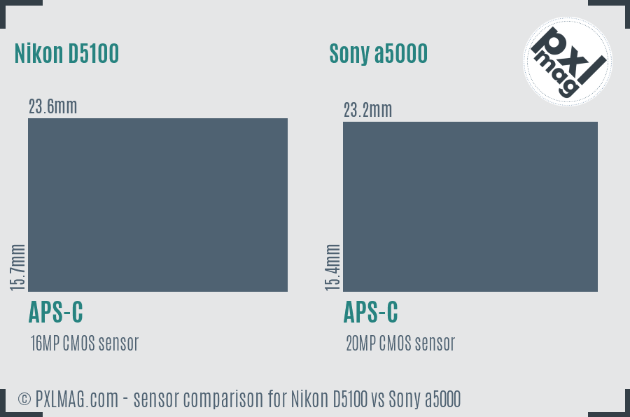 Nikon D5100 vs Sony a5000 sensor size comparison Nikon D5100 vs Sony a5000 sensor size comparison