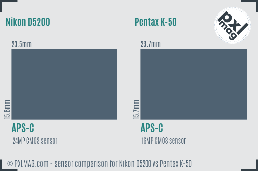 Nikon D5200 vs Pentax K-50 sensor size comparison