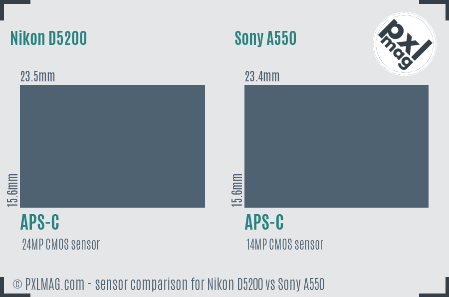 Nikon D5200 vs Sony A550 sensor size comparison