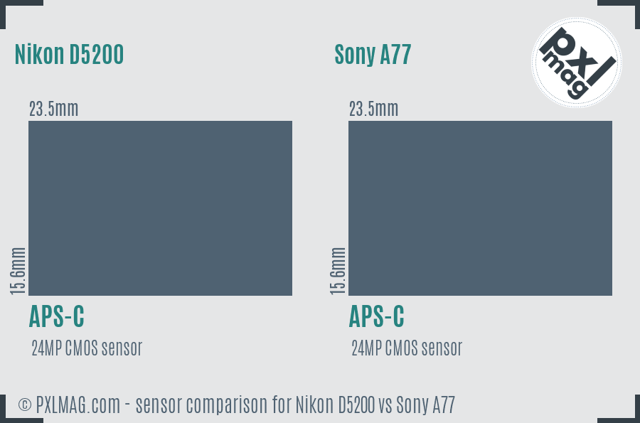 Nikon D5200 vs Sony A77 sensor size comparison