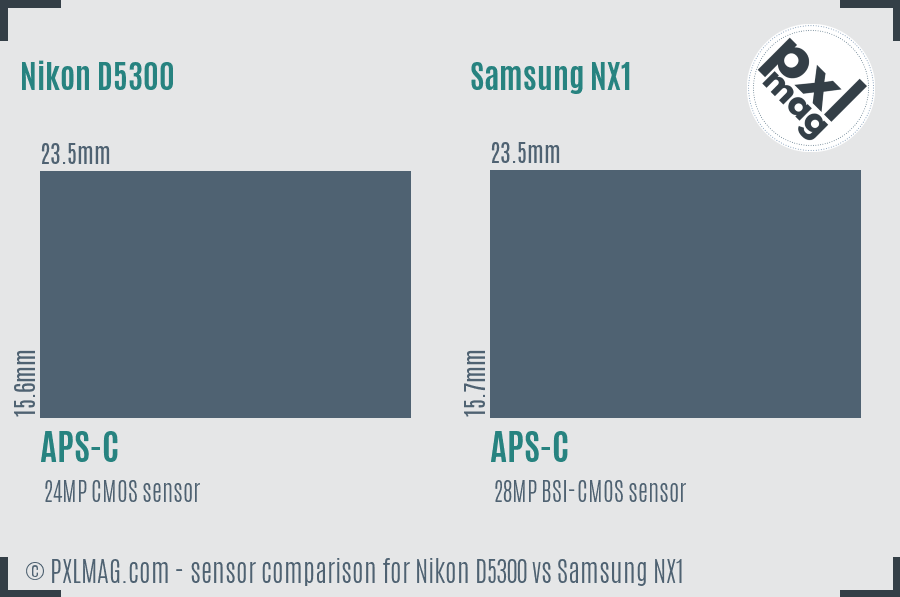 Nikon D5300 vs Samsung NX1 sensor size comparison Nikon D5300 vs Samsung NX1 sensor size comparison