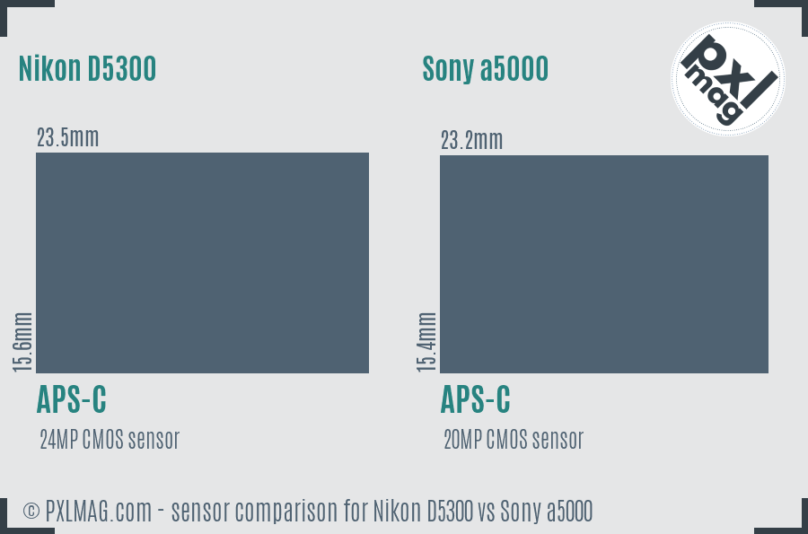 Sensor specifications and image quality discussion