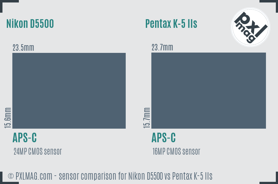 Nikon D5500 vs Pentax K-5 IIs sensor size comparison