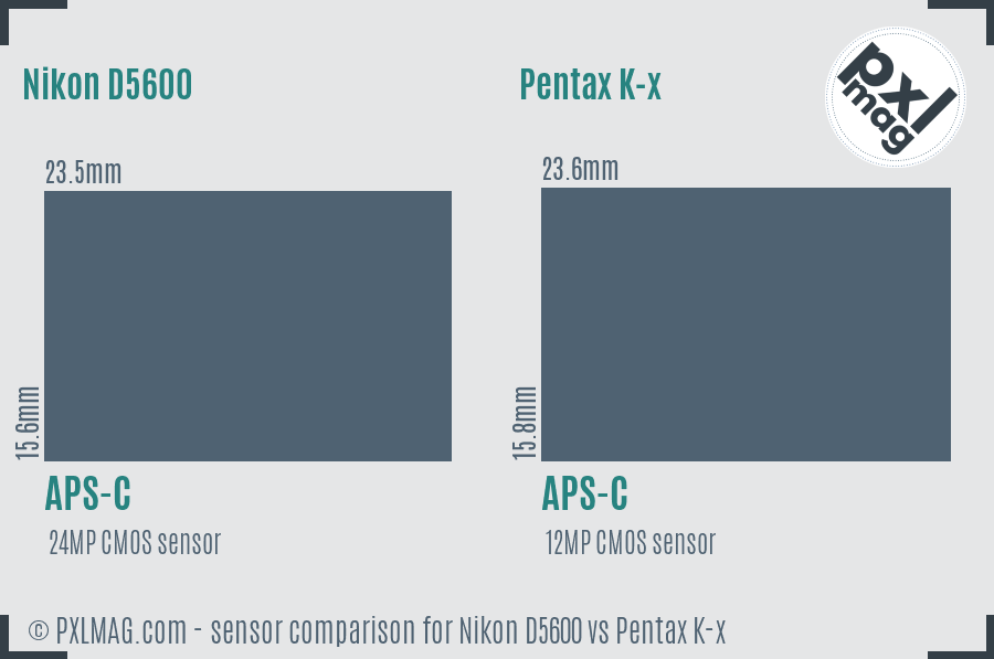 Nikon D5600 vs Pentax K-x sensor size comparison