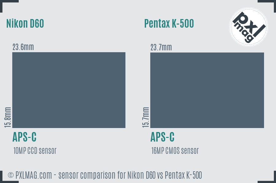 Nikon D60 vs Pentax K-500 sensor size comparison