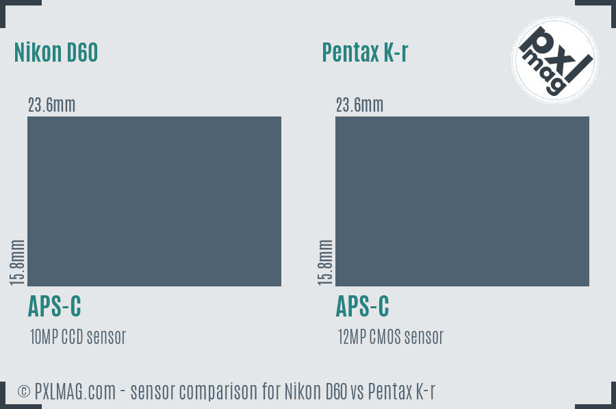 Nikon D60 vs Pentax K-r sensor size comparison