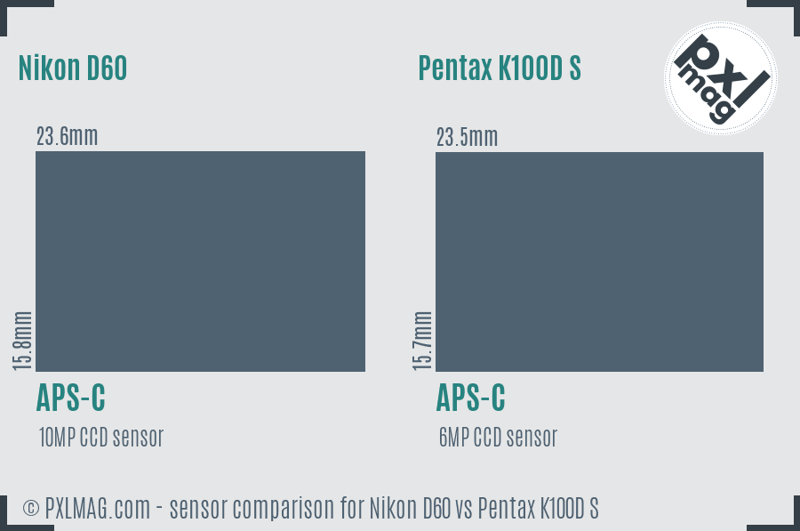 Nikon D60 vs Pentax K100D S sensor size comparison