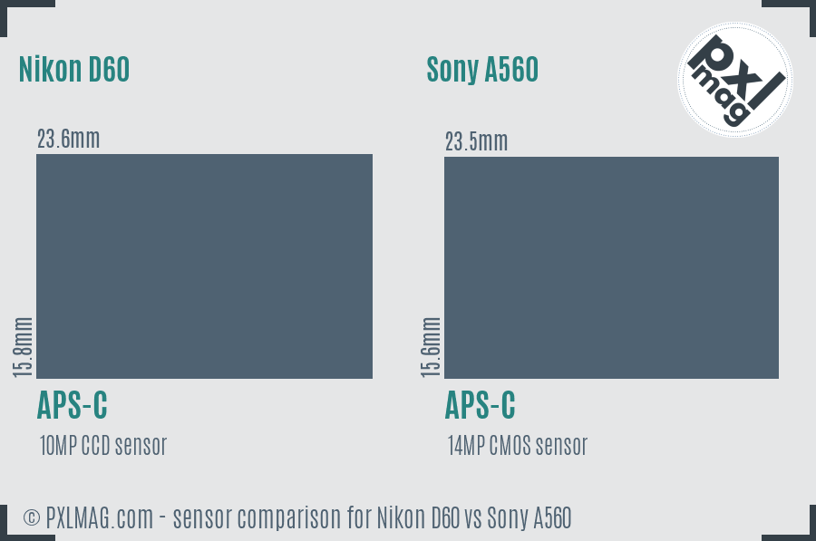 Nikon D60 vs Sony A560 sensor size comparison
