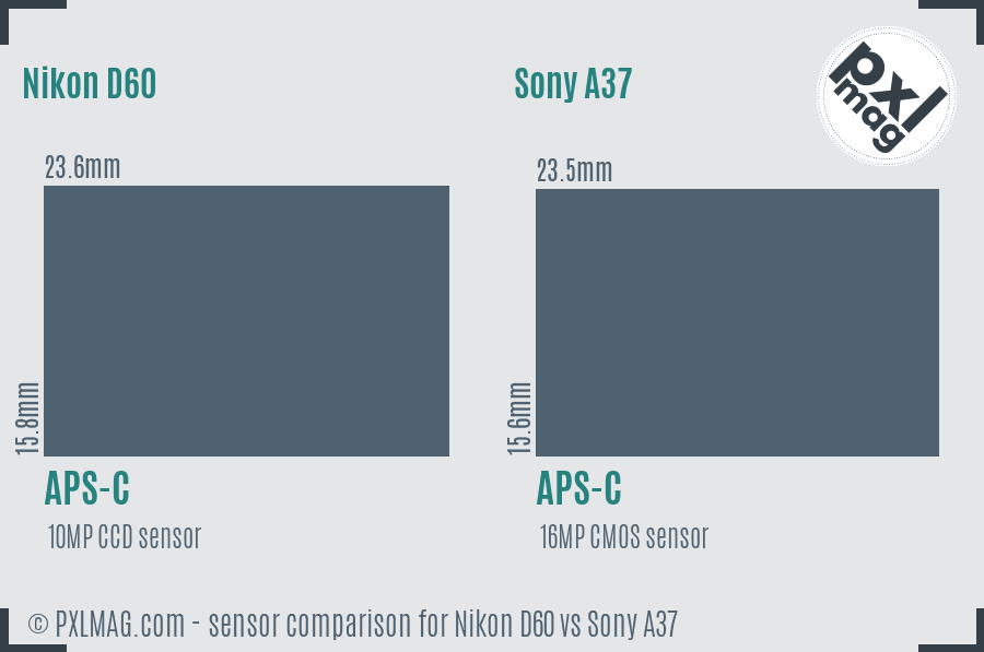 Nikon D60 vs Sony A37 sensor size comparison Nikon D60 vs Sony A37 sensor size comparison