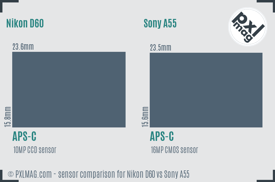 Nikon D60 vs Sony A55 sensor size comparison