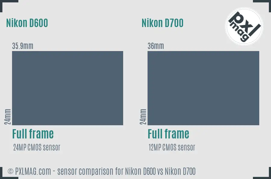 Nikon D600 vs Nikon D700 sensor size comparison
