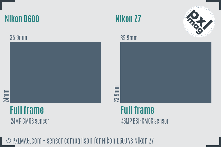 Nikon D600 vs Nikon Z7 sensor size comparison