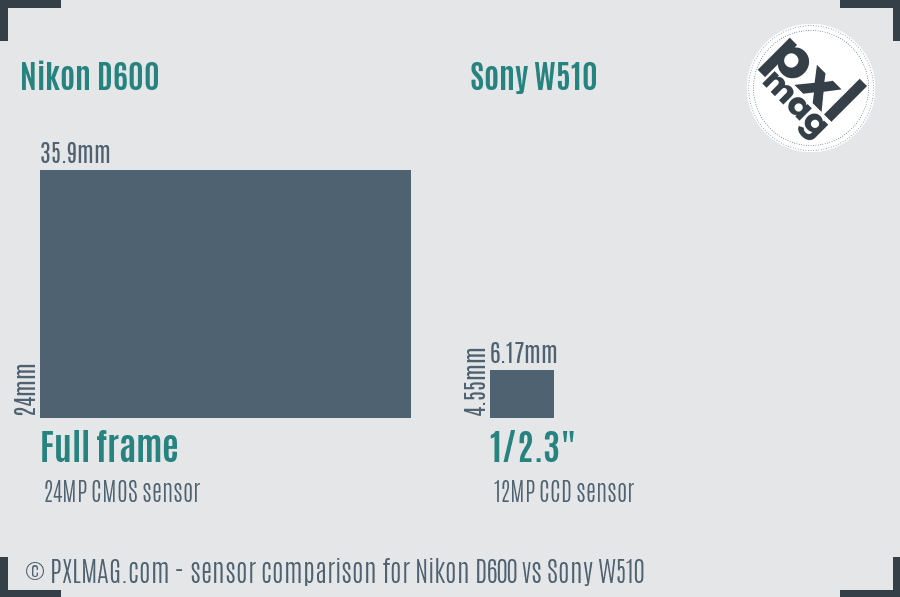 Nikon D600 vs Sony W510 sensor size comparison