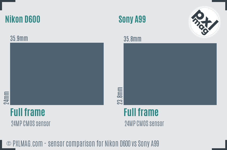 Nikon D600 vs Sony A99 sensor size comparison