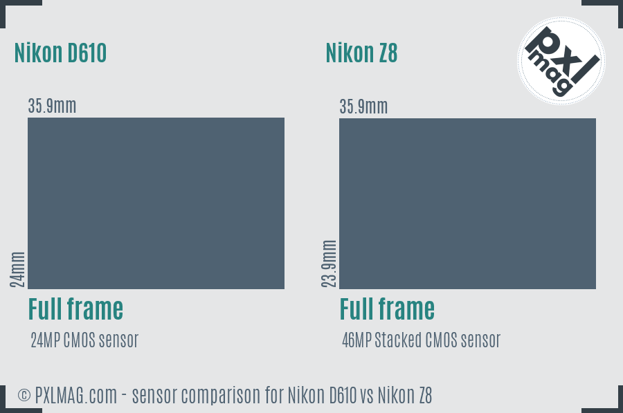 Nikon D610 vs Nikon Z8 sensor size comparison