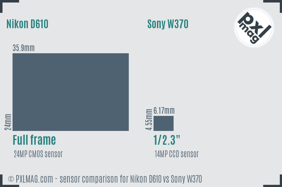 Nikon D610 vs Sony W370 sensor size comparison