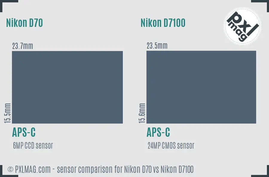 Nikon D70 vs Nikon D7100 sensor size comparison