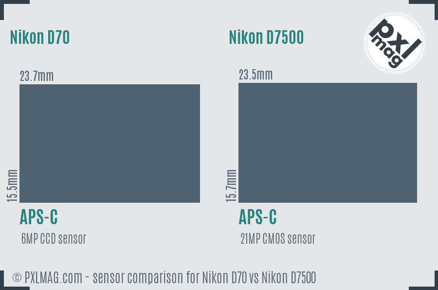 Nikon D70 vs Nikon D7500 sensor size comparison