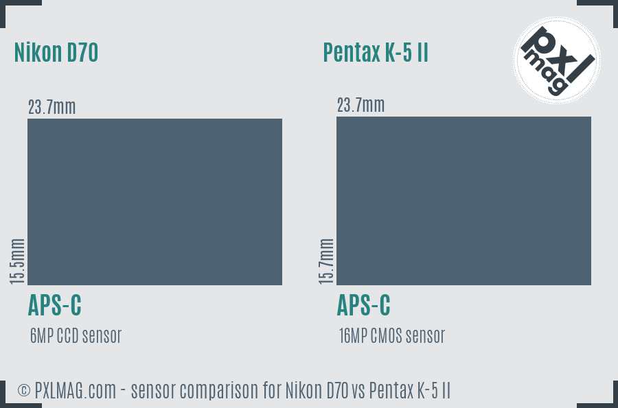 Nikon D70 vs Pentax K-5 II sensor size comparison