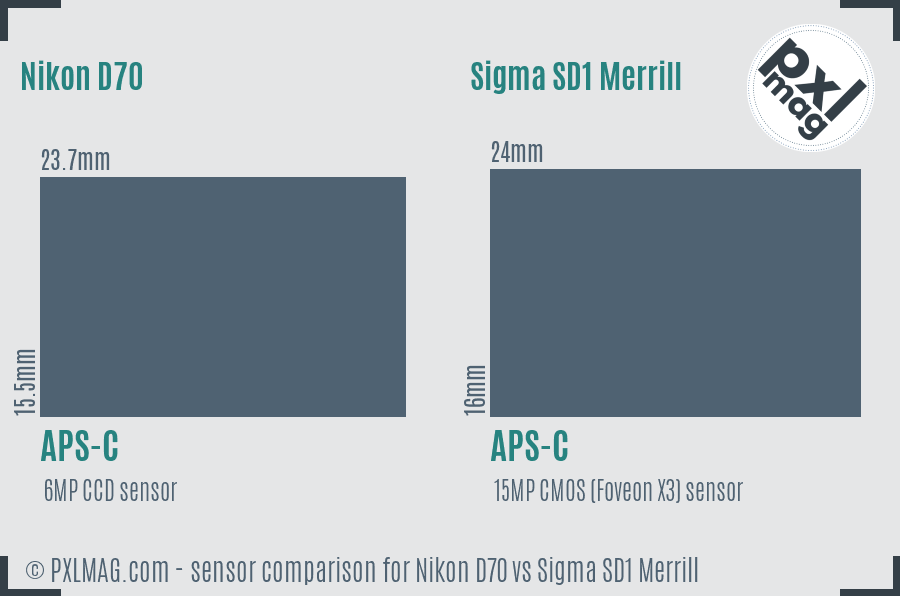 Nikon D70 vs Sigma SD1 Merrill sensor size comparison