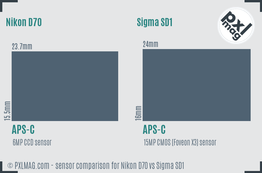 Nikon D70 vs Sigma SD1 sensor size comparison Nikon D70 vs Sigma SD1 sensor size comparison