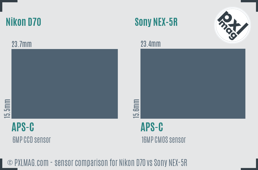 Nikon D70 vs Sony NEX-5R sensor size comparison Nikon D70 vs Sony NEX-5R sensor size comparison