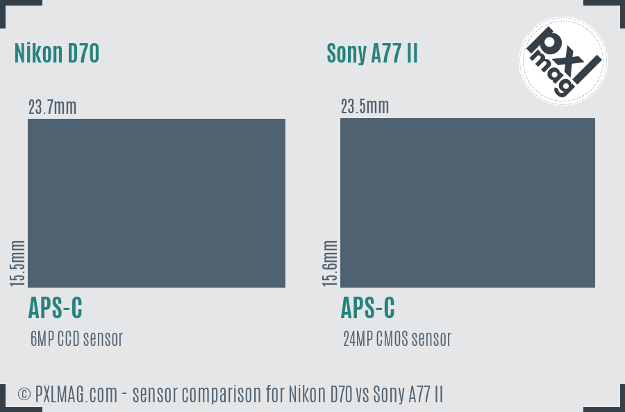 Nikon D70 vs Sony A77 II sensor size comparison