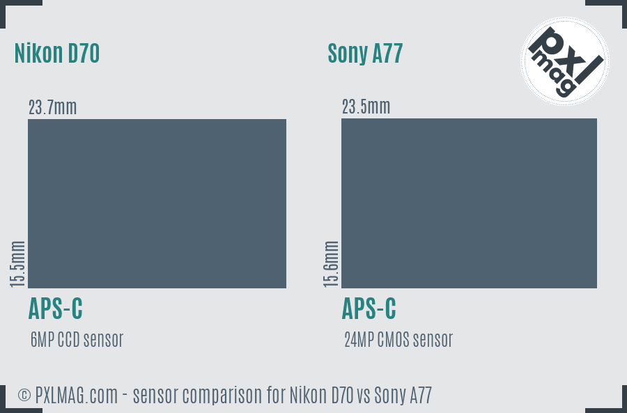 Nikon D70 vs Sony A77 sensor size comparison