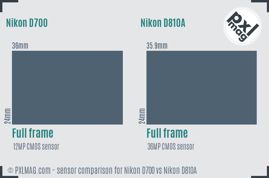 Nikon D700 vs Nikon D810A sensor size comparison