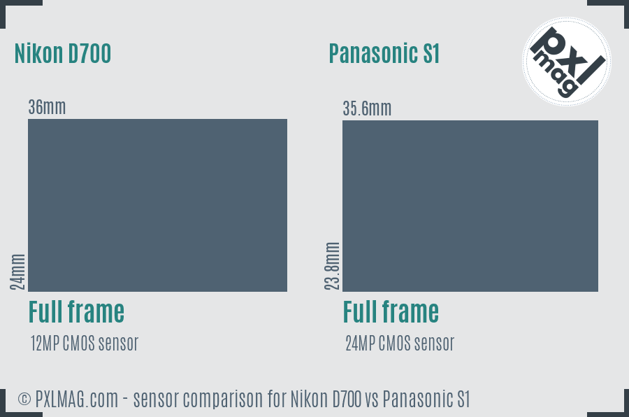 Nikon D700 vs Panasonic S1 sensor size comparison