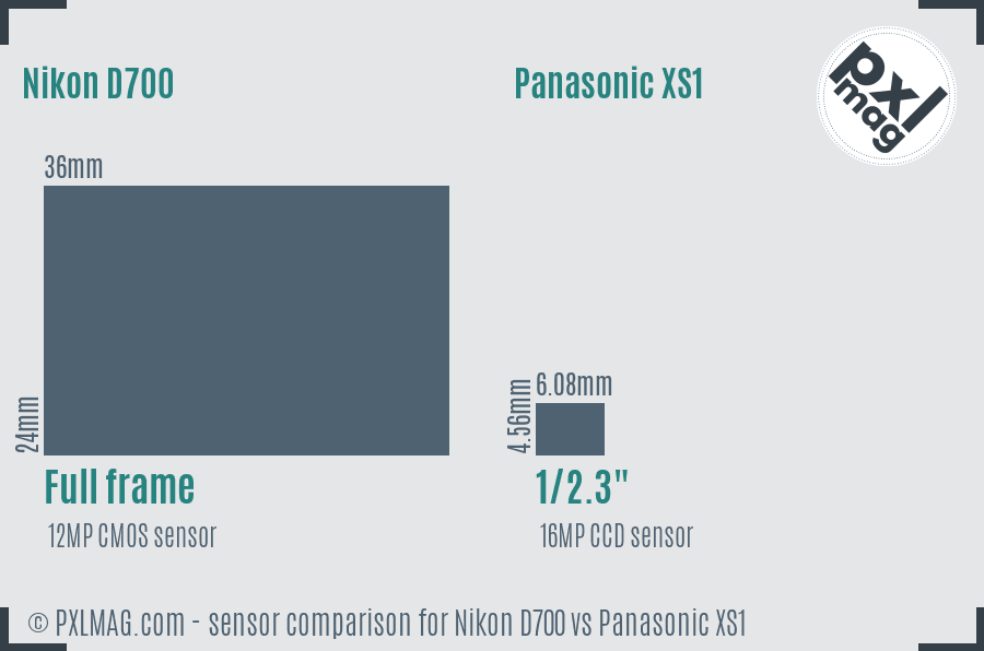 Nikon D700 vs Panasonic XS1 sensor size comparison