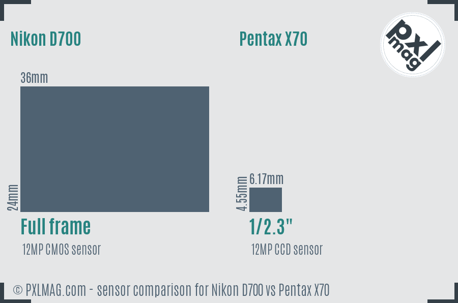 Nikon D700 vs Pentax X70 sensor size comparison