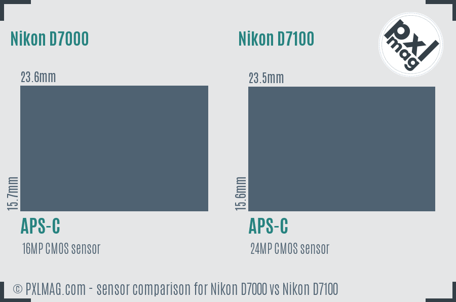 Nikon D7000 vs Nikon D7100 sensor size comparison