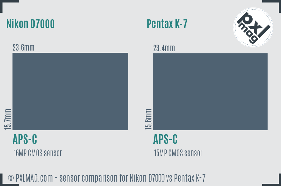 Nikon D7000 vs Pentax K-7 sensor size comparison