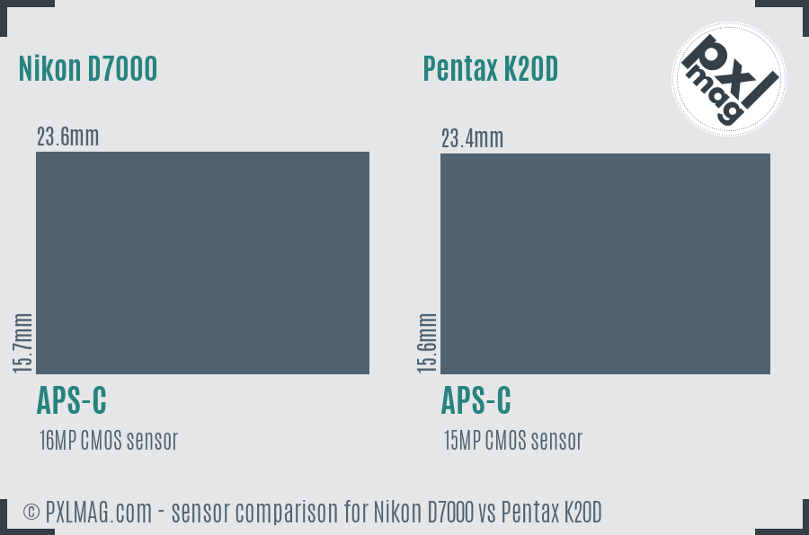 Nikon D7000 vs Pentax K20D sensor size comparison